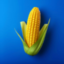 8846威尼斯人汉化版游戏下载-8846威尼斯人v3.25.0版下载